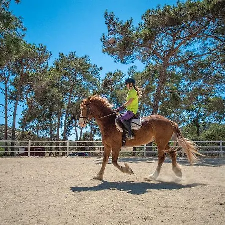 Aphrodite Hills Kouklia